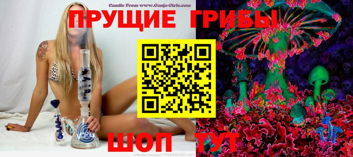 Сегежа  Псилоцибиновые грибы прущие грибы  Вход с VPN 